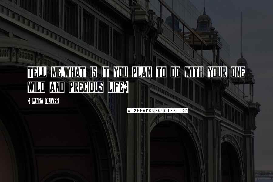 Mary Oliver Quotes: Tell me,what is it you plan to do with your one wild and precious life?