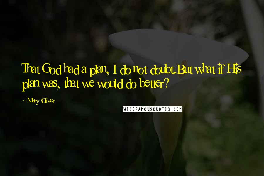 Mary Oliver Quotes: That God had a plan, I do not doubt.But what if His plan was, that we would do better?
