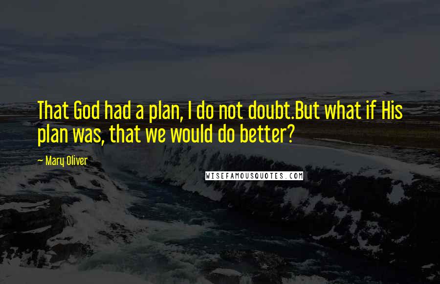 Mary Oliver Quotes: That God had a plan, I do not doubt.But what if His plan was, that we would do better?