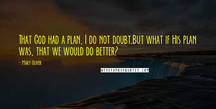 Mary Oliver Quotes: That God had a plan, I do not doubt.But what if His plan was, that we would do better?