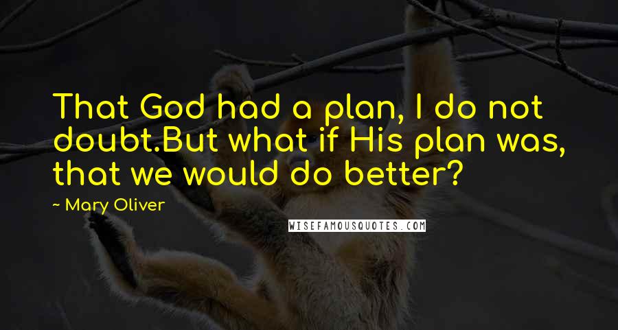 Mary Oliver Quotes: That God had a plan, I do not doubt.But what if His plan was, that we would do better?