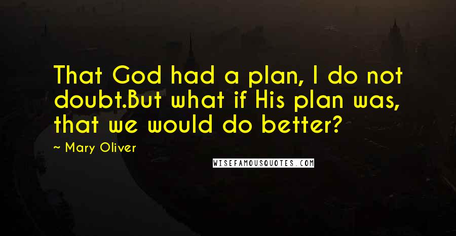 Mary Oliver Quotes: That God had a plan, I do not doubt.But what if His plan was, that we would do better?