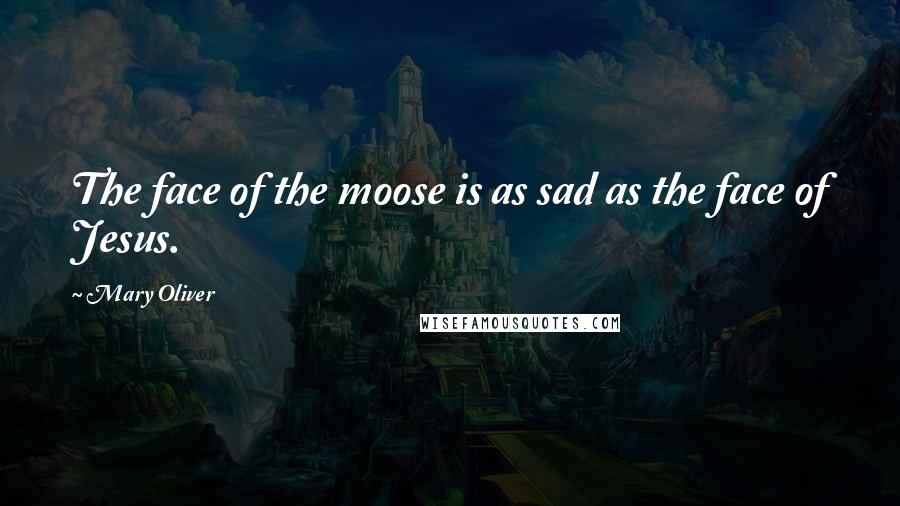 Mary Oliver Quotes: The face of the moose is as sad as the face of Jesus.