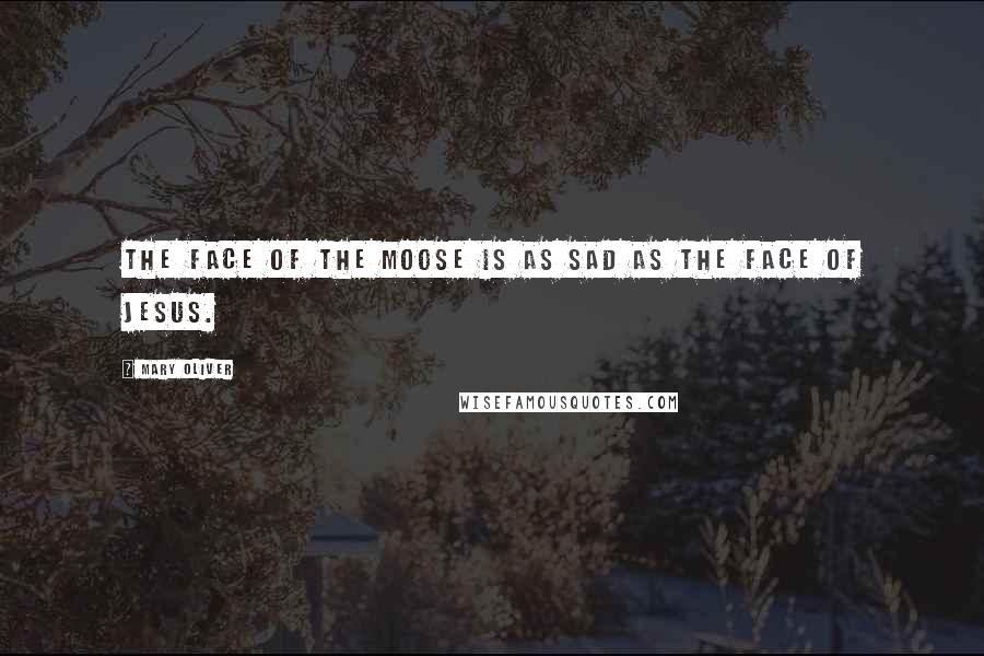 Mary Oliver Quotes: The face of the moose is as sad as the face of Jesus.