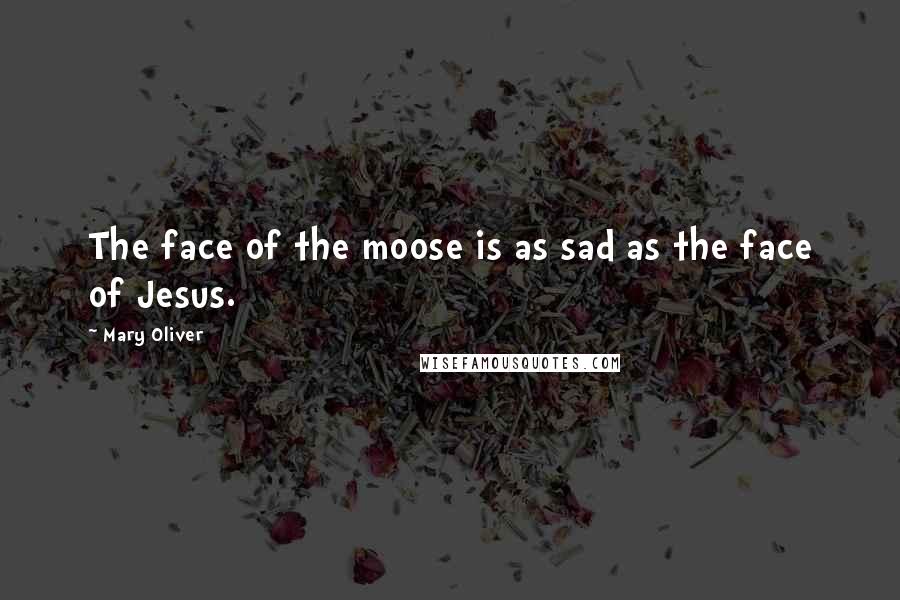 Mary Oliver Quotes: The face of the moose is as sad as the face of Jesus.