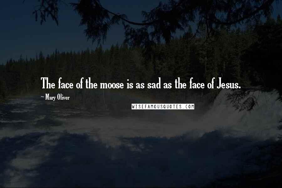 Mary Oliver Quotes: The face of the moose is as sad as the face of Jesus.