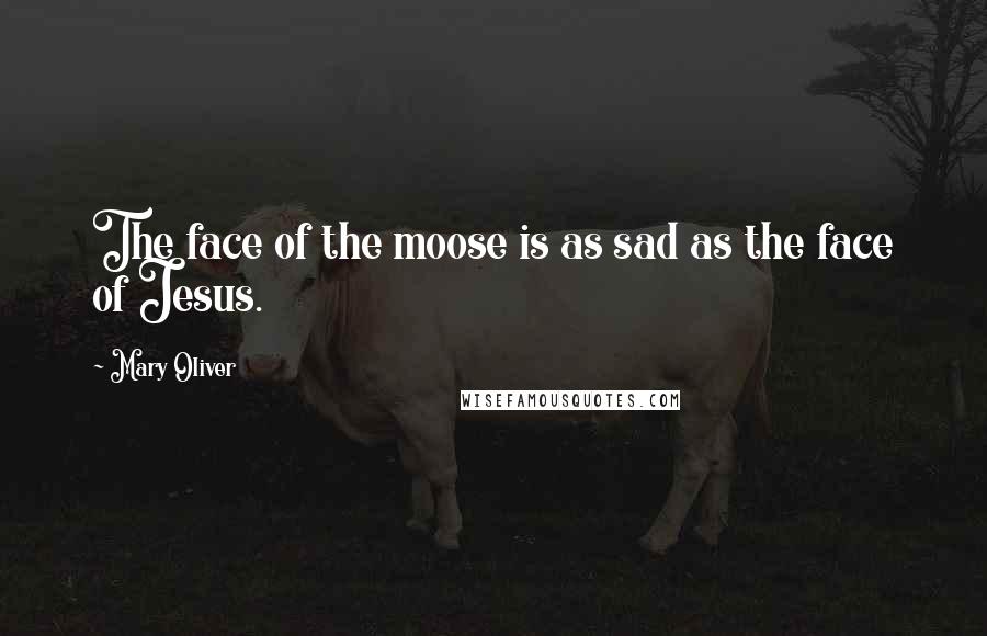 Mary Oliver Quotes: The face of the moose is as sad as the face of Jesus.