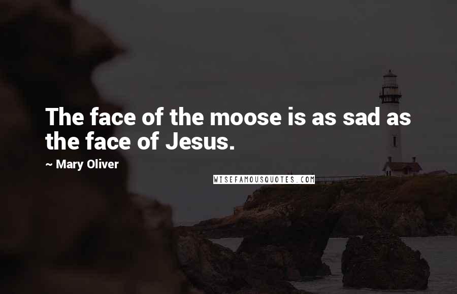 Mary Oliver Quotes: The face of the moose is as sad as the face of Jesus.