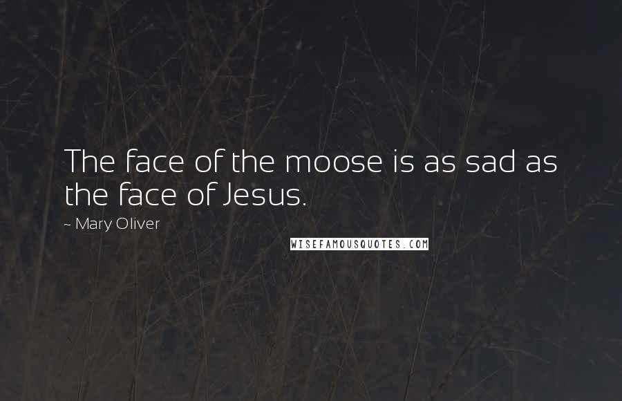 Mary Oliver Quotes: The face of the moose is as sad as the face of Jesus.