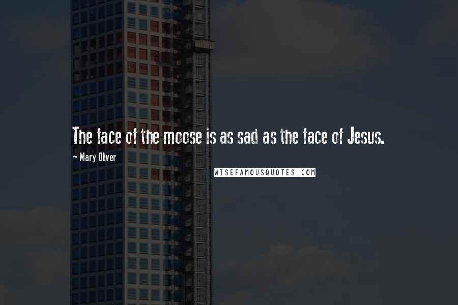 Mary Oliver Quotes: The face of the moose is as sad as the face of Jesus.