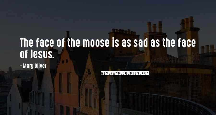 Mary Oliver Quotes: The face of the moose is as sad as the face of Jesus.