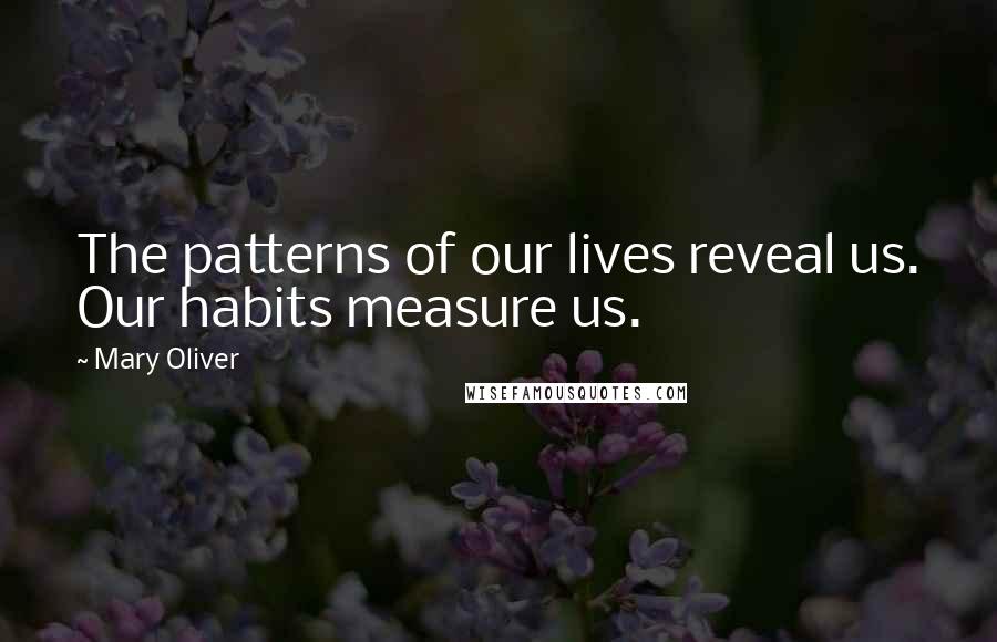 Mary Oliver Quotes: The patterns of our lives reveal us. Our habits measure us.