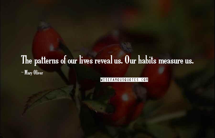 Mary Oliver Quotes: The patterns of our lives reveal us. Our habits measure us.