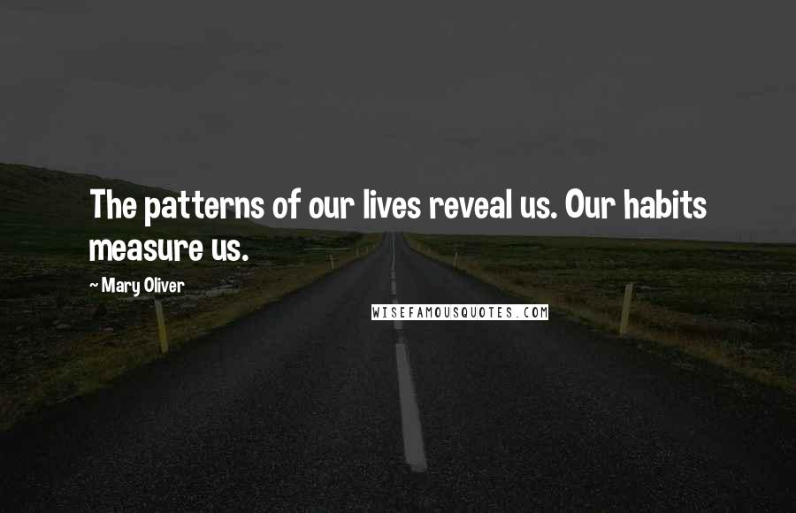 Mary Oliver Quotes: The patterns of our lives reveal us. Our habits measure us.