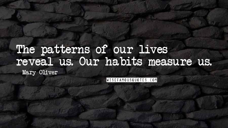 Mary Oliver Quotes: The patterns of our lives reveal us. Our habits measure us.