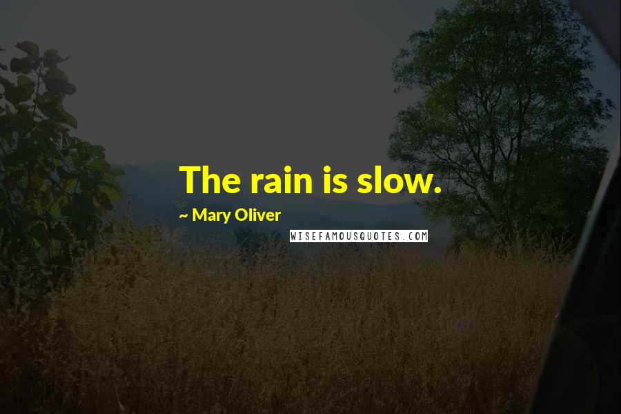 Mary Oliver Quotes: The rain is slow.
