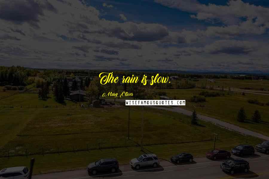 Mary Oliver Quotes: The rain is slow.