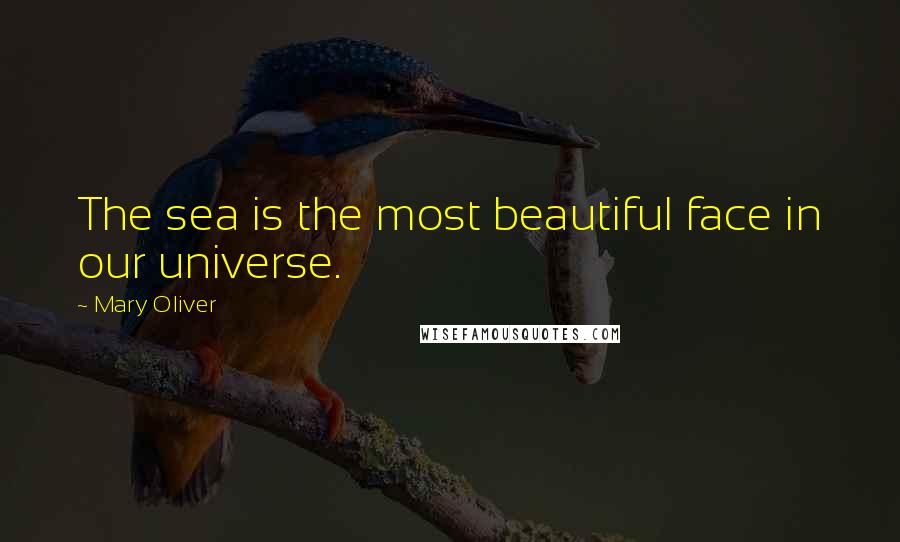 Mary Oliver Quotes: The sea is the most beautiful face in our universe.