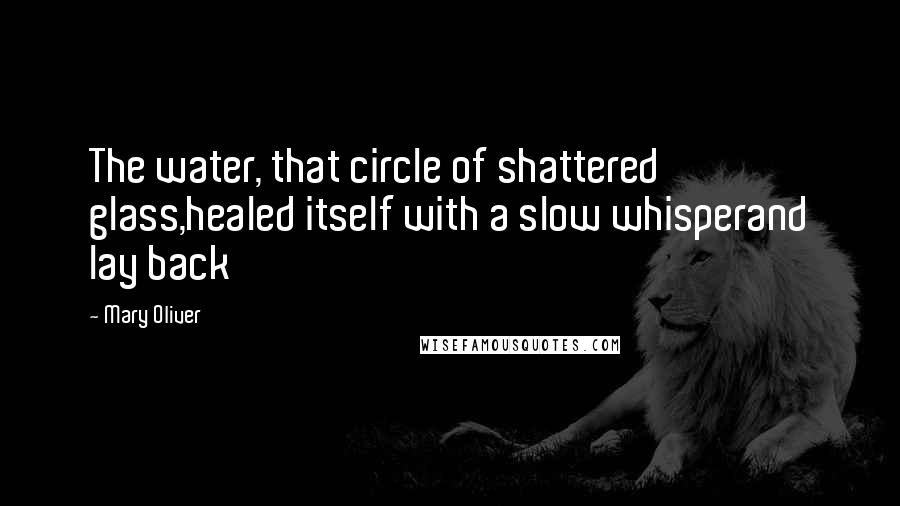 Mary Oliver Quotes: The water, that circle of shattered glass,healed itself with a slow whisperand lay back
