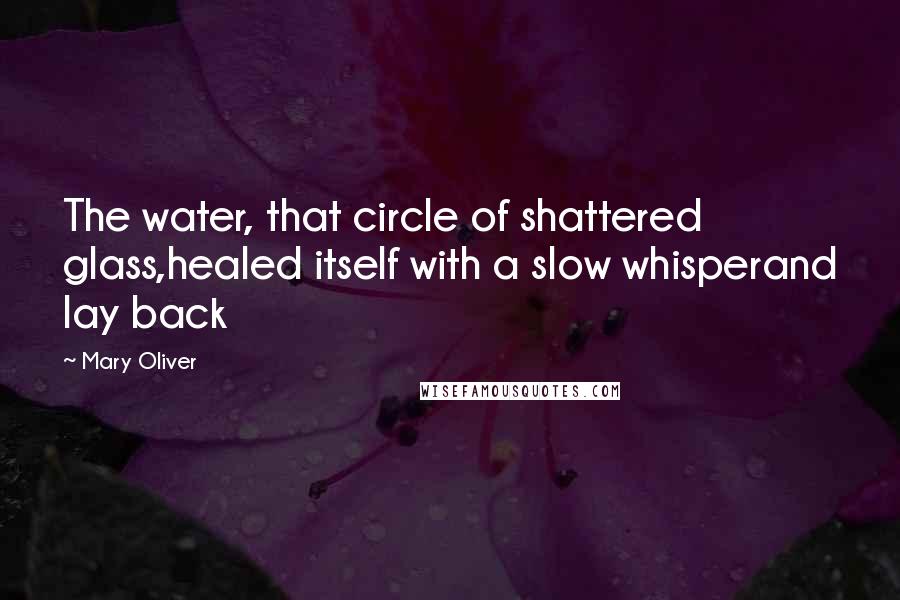 Mary Oliver Quotes: The water, that circle of shattered glass,healed itself with a slow whisperand lay back