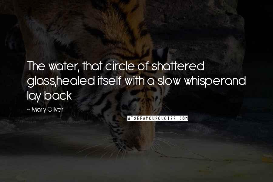 Mary Oliver Quotes: The water, that circle of shattered glass,healed itself with a slow whisperand lay back
