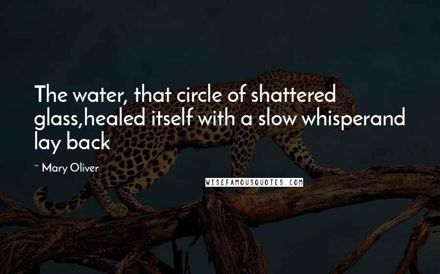 Mary Oliver Quotes: The water, that circle of shattered glass,healed itself with a slow whisperand lay back