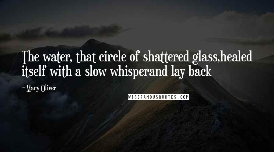 Mary Oliver Quotes: The water, that circle of shattered glass,healed itself with a slow whisperand lay back