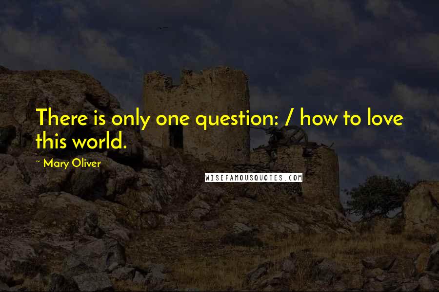 Mary Oliver Quotes: There is only one question: / how to love this world.