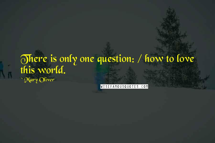 Mary Oliver Quotes: There is only one question: / how to love this world.