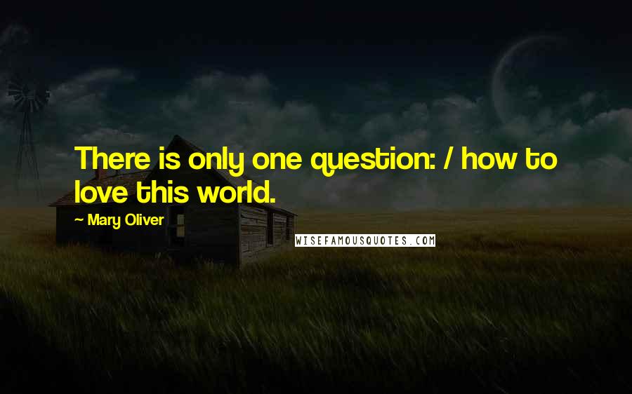 Mary Oliver Quotes: There is only one question: / how to love this world.