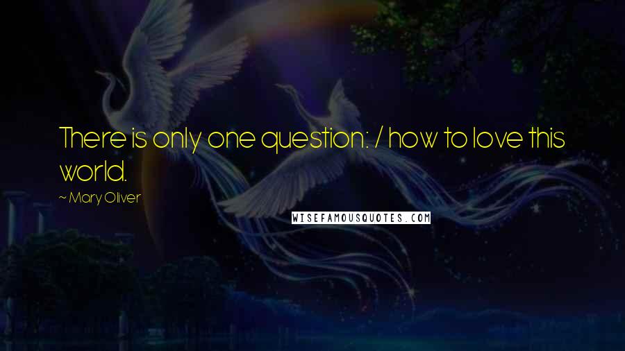 Mary Oliver Quotes: There is only one question: / how to love this world.