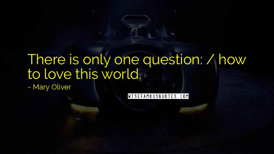 Mary Oliver Quotes: There is only one question: / how to love this world.