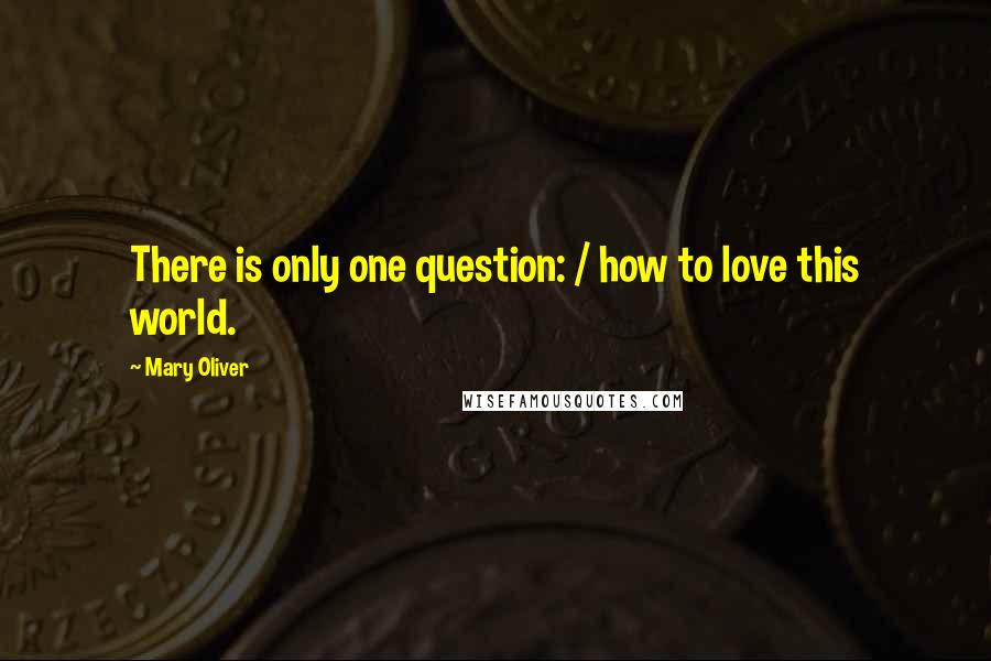 Mary Oliver Quotes: There is only one question: / how to love this world.