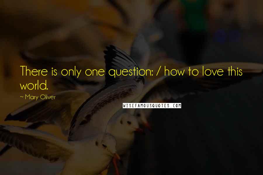 Mary Oliver Quotes: There is only one question: / how to love this world.