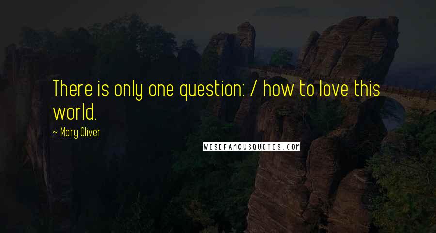 Mary Oliver Quotes: There is only one question: / how to love this world.