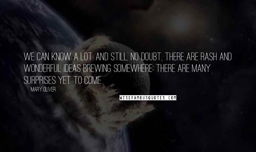 Mary Oliver Quotes: We can know a lot. And still, no doubt, there are rash and wonderful ideas brewing somewhere; there are many surprises yet to come.