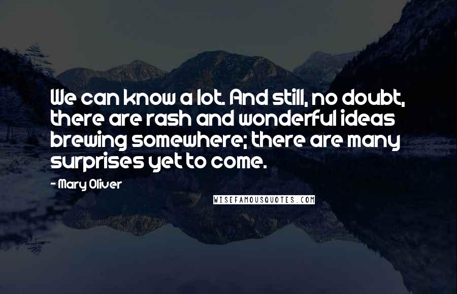 Mary Oliver Quotes: We can know a lot. And still, no doubt, there are rash and wonderful ideas brewing somewhere; there are many surprises yet to come.