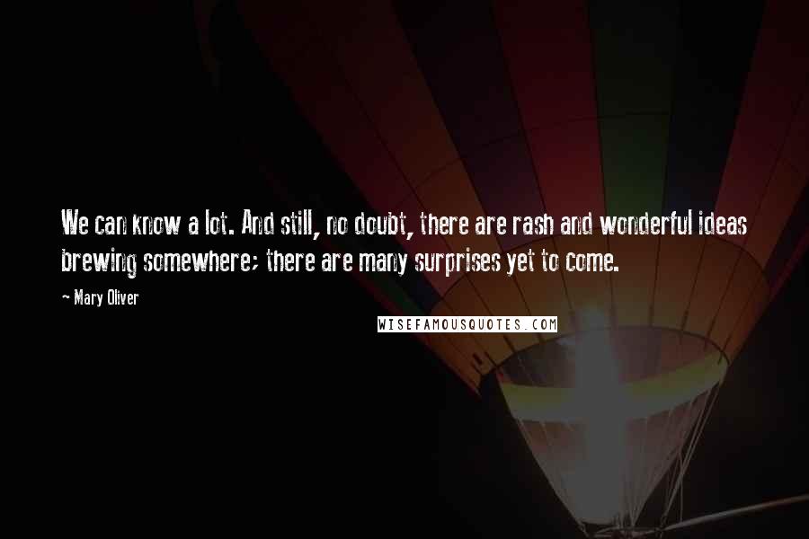 Mary Oliver Quotes: We can know a lot. And still, no doubt, there are rash and wonderful ideas brewing somewhere; there are many surprises yet to come.