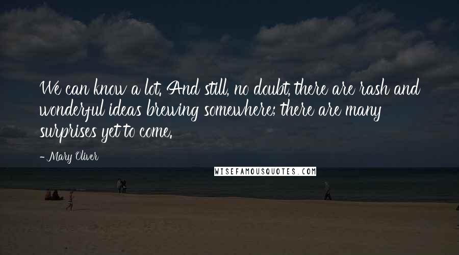 Mary Oliver Quotes: We can know a lot. And still, no doubt, there are rash and wonderful ideas brewing somewhere; there are many surprises yet to come.