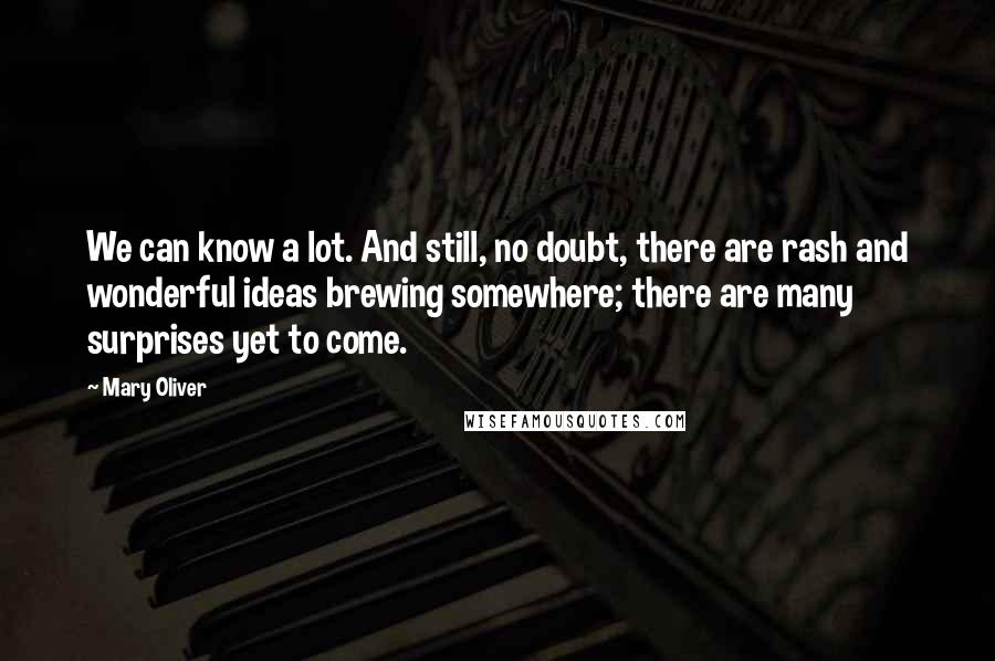 Mary Oliver Quotes: We can know a lot. And still, no doubt, there are rash and wonderful ideas brewing somewhere; there are many surprises yet to come.