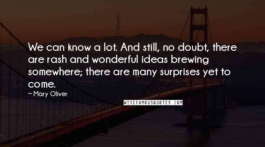 Mary Oliver Quotes: We can know a lot. And still, no doubt, there are rash and wonderful ideas brewing somewhere; there are many surprises yet to come.