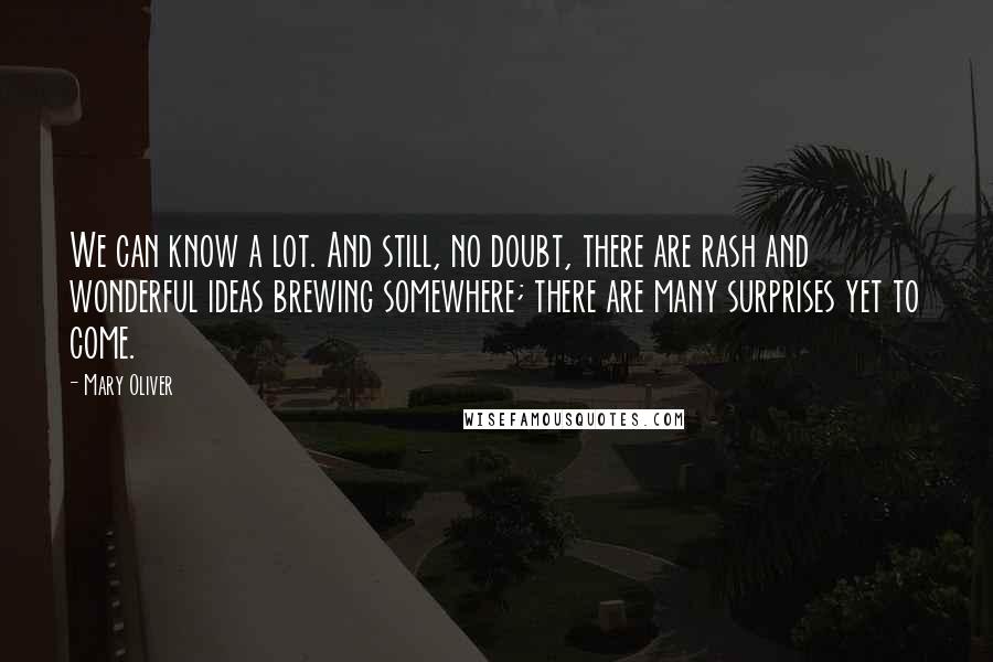 Mary Oliver Quotes: We can know a lot. And still, no doubt, there are rash and wonderful ideas brewing somewhere; there are many surprises yet to come.