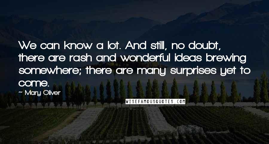 Mary Oliver Quotes: We can know a lot. And still, no doubt, there are rash and wonderful ideas brewing somewhere; there are many surprises yet to come.