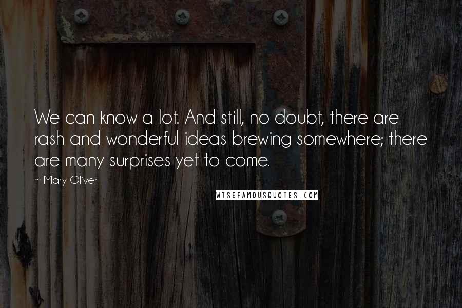 Mary Oliver Quotes: We can know a lot. And still, no doubt, there are rash and wonderful ideas brewing somewhere; there are many surprises yet to come.
