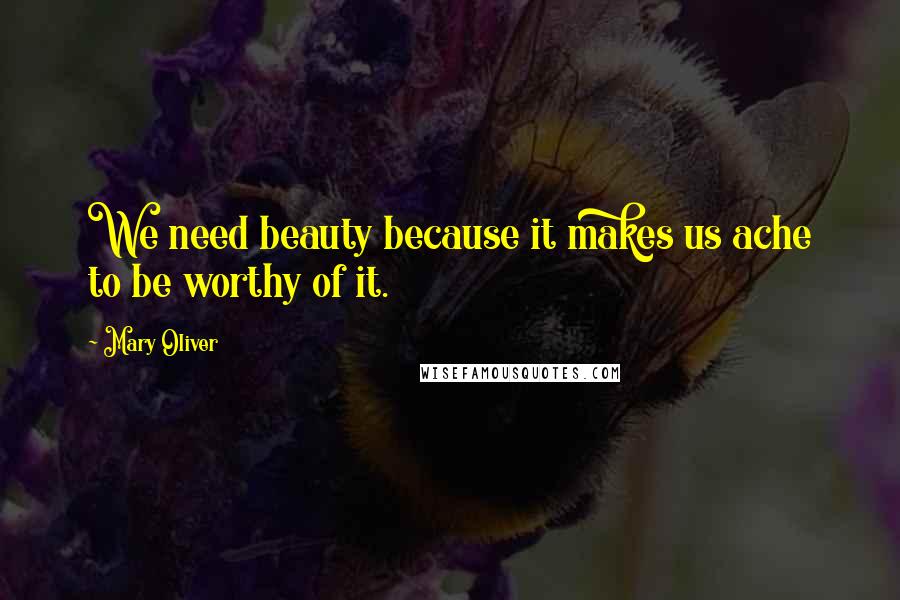 Mary Oliver Quotes: We need beauty because it makes us ache to be worthy of it.