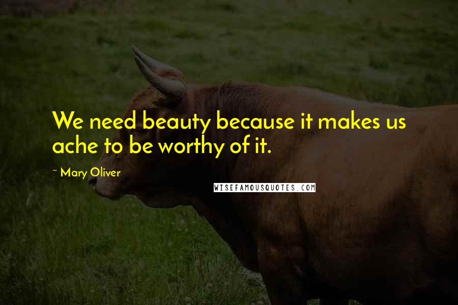 Mary Oliver Quotes: We need beauty because it makes us ache to be worthy of it.