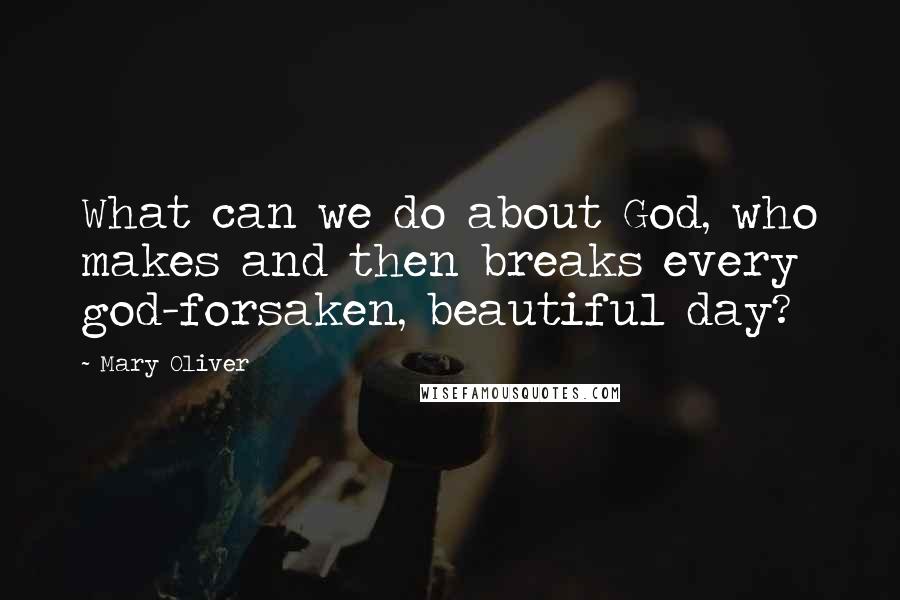 Mary Oliver Quotes: What can we do about God, who makes and then breaks every god-forsaken, beautiful day?