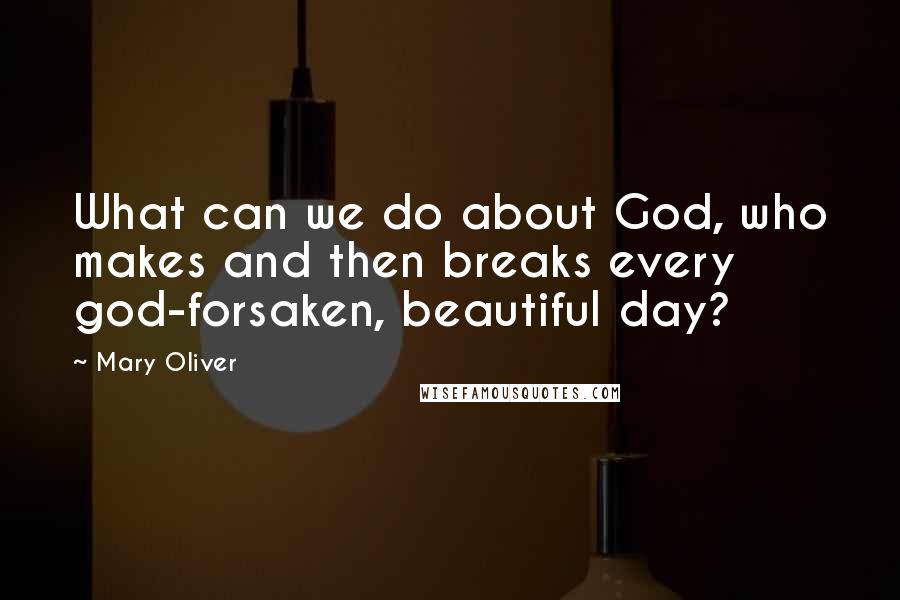 Mary Oliver Quotes: What can we do about God, who makes and then breaks every god-forsaken, beautiful day?