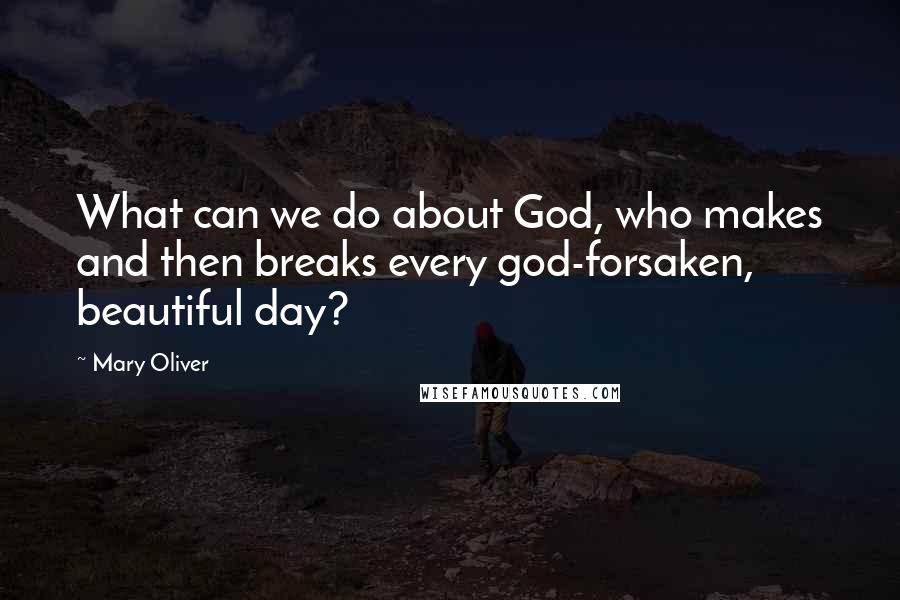 Mary Oliver Quotes: What can we do about God, who makes and then breaks every god-forsaken, beautiful day?