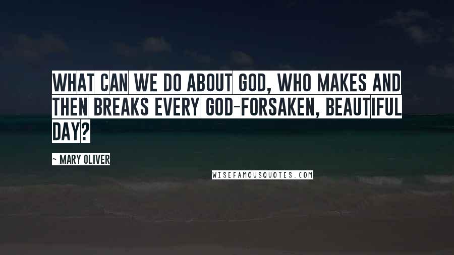 Mary Oliver Quotes: What can we do about God, who makes and then breaks every god-forsaken, beautiful day?